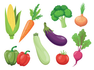 Set of different fresh vegetables isolated on white background. Healthy eating concept. Vector illustration
