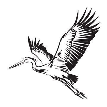 flying stork black and white clip art preview