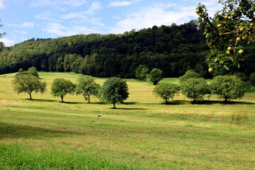 Schönberg bei Freiburg im Frühling © christiane65
