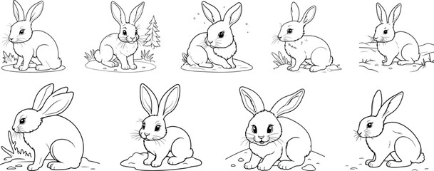 Snowshoe Hare coloring page and outline vector design