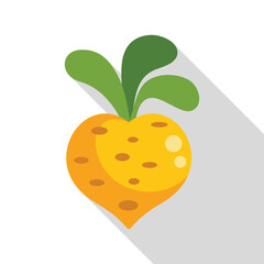 Yellow turnip root vegetable growing with leaves in a flat design icon with long shadow on a white background