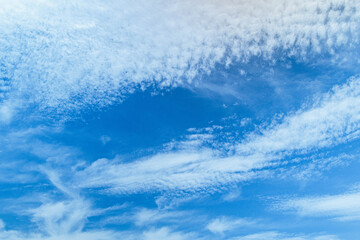 青空に浮かぶ雲
