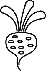 Beetroot with leaves growing isolated on white background, simple hand drawn illustration