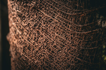 background pattern, shape and texture of coconut tree fiber