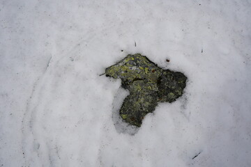 Heart shaped rock in the snow