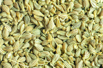Macrophotography of many fennel seeds seen from the top