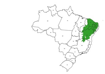 Fototapeta premium Caatinga biome map in Brazil
