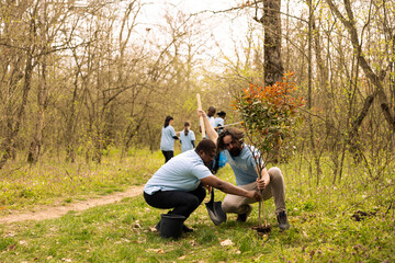 Man and woman activists covering hole by planting small tree in the woods, contributing to the reforestation and conservation project. People doing voluntary work to save the planet.