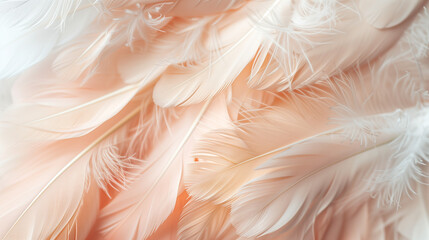 Fototapeta premium Macro View of Feathering Texture with Soft, Fluffy White and Beige Feathers, Highlighting Natural Purity and Fragile Beauty Against a Bright Pastel Background