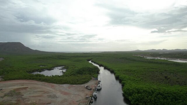 Manglares montecristi