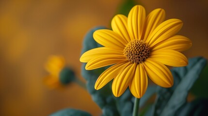 Fototapeta premium A close-up of a yellow flower with vibrant, detailed petals. A yellow flower with a core of delicate stamens.