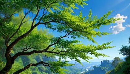 Green Tree Canopy Over Lush Mountain Landscape with Waterfall.