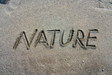 Nature written in the dark rough sand