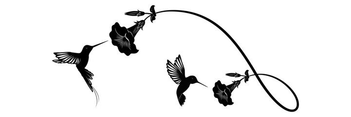 hummingbird and flower vector