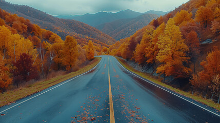 Winding Road Through Vibrant Autumn Forest in Mountains..