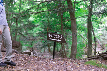 トレッキングコース