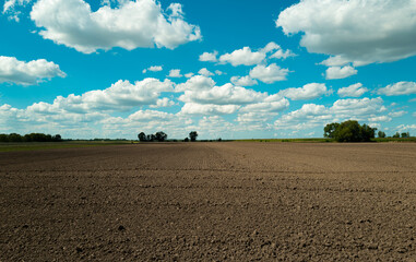 Fertilizer soil for growing plants. Mud on field. Agricultural industry. Soil for growing plants....
