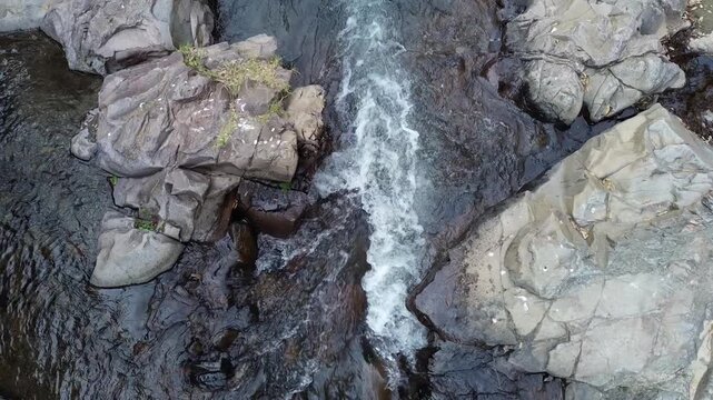 VIDEO DE RIO EN MOVIMIENTO CON ROCAS EN EL BOSQUE
