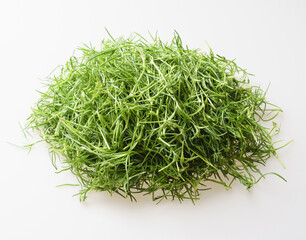 Close-up of stacked fresh Seaside green(Spergularia marina) on white floor, South Korea
