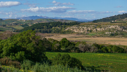 Naklejka premium View at typical rural countryside in nature reserve of Torre Salsa, Sicily, Italy