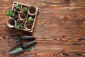 Organizer with plants in peat pots, shovel and rake on brown wooden background. Gardening supplies. Top view