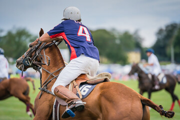 Polo player 