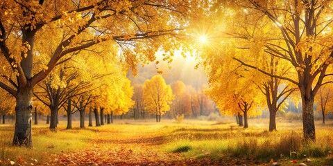 Fototapeta premium Beautiful autumn landscape with yellow trees bokeh, Autumn, landscape, fall, colorful, foliage, leaves, nature, serene