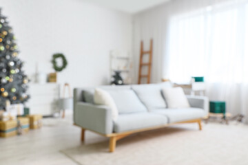 Blurred view of living room with sofa and Christmas trees