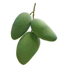 Green Mango Image
