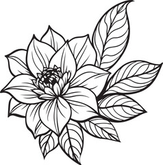 flower line art vector