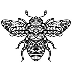 hand drawn of bee in zentangle style