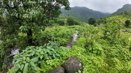 Scenic landscape featuring a cloudy sky, distant sahyadri hills, and lush green vegetation in the monsoon season.