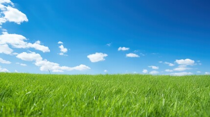 Lush green artificial grass field under clear blue sky on a sunny day