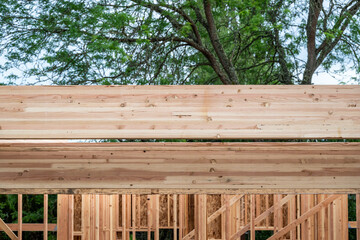 Closeup detail of new house construction, wall wood framing started and glue laminate header beam...