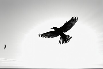 Fototapeta premium A black silhouette of a bird in flight, emphasizing its form and freedom.