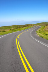 Road, nature and street to travel, outdoor and peace in environment, location and adventure in forest. Woods, highway and direction of destination for journey, morning and pathway in landscape