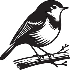 Robin bird silhouettes vector illustration