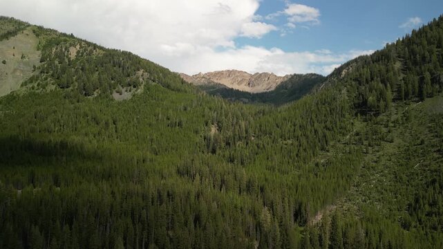 Aerial of pine tree covered mountains in Sawtooth National Forest near Sawtooth City Idaho