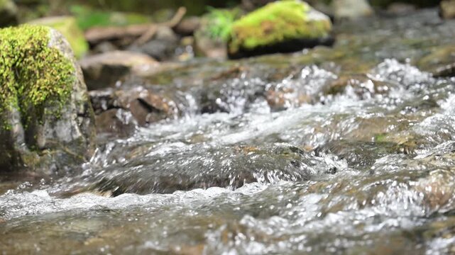 Japanese canyon river flow close-up with sound Animation of clear stream and summer vacation image