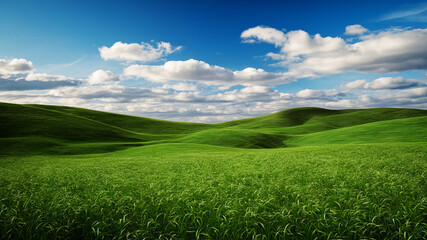 Obraz premium Endless green meadow kissed by a clear blue sky