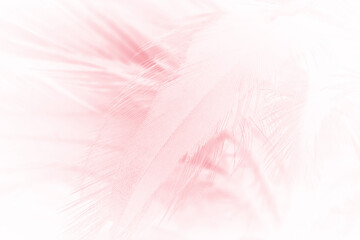  Beautiful soft pink feather pattern texture background