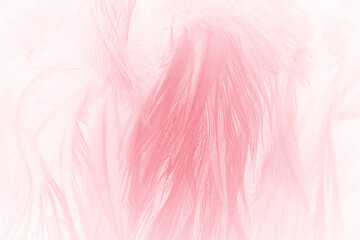 Beautiful soft pink feather pattern texture background © nadtytok28