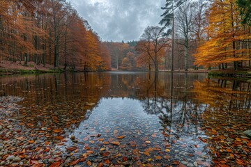 A stunning autumn scene featuring a forest and river with leaves scattered