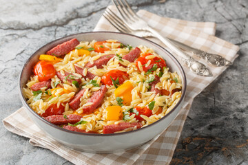 Hearty Italian risoni pasta salad with salami, bell pepper, garlic, tomatoes and herbs close-up in a bowl on a table. Horizontal