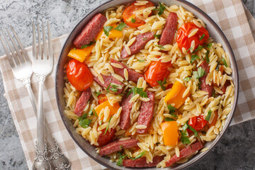 Warm orzo pasta salad with salami sausage, bell pepper, garlic and tomatoes close-up in a bowl on the table. Horizontal top view from above