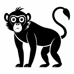 Monkey silhouettes on white background.