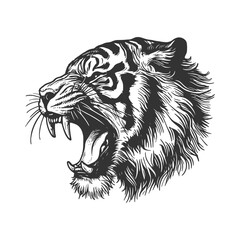 vintage design tiger head hand drawn vector template illustration