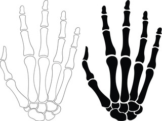 Naklejka premium Skeleton Hands, Skeleton, Skull Skeleton Hand - Skeleton Silhouette with transparent background