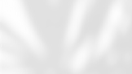 White wall with shadow of leaves overlay. Sunlight effect shadow on the wall. Minimal blurred backdrop backgrounds. Summer tropical surface background.	