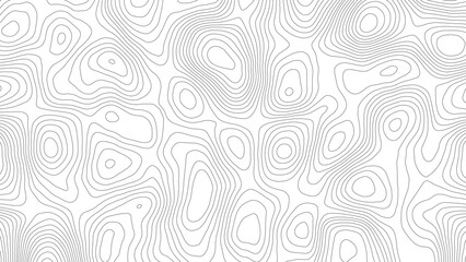 Topography map background. Vector banner. Topography map background. Vector geographic contour map. Background of the topographic map. Topographic map lines, contour background.	
